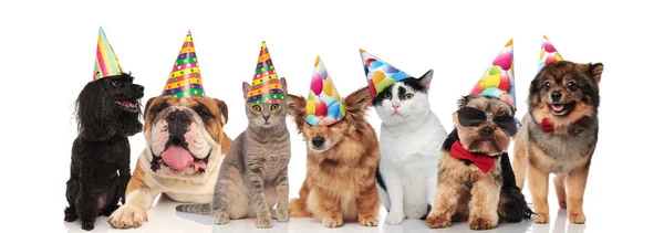party