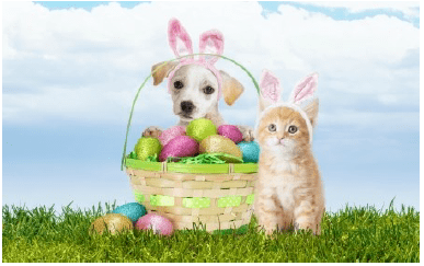 2023 Easter Baskets